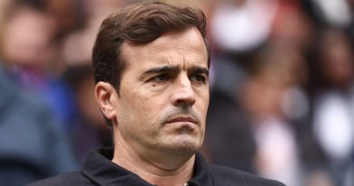 illustration agrandir l