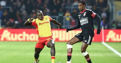 illustration agrandir l