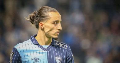 illustration agrandir l