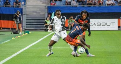 illustration agrandir l