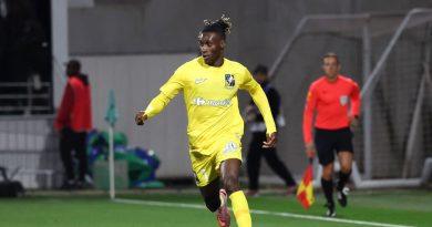 illustration agrandir l