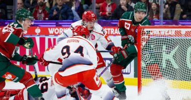 illustration agrandir l