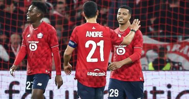 illustration agrandir l