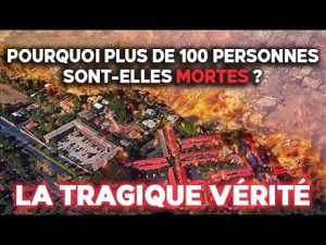L'incendie de Lahaina : un drame qui a changé des vies