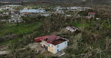 L’insécurité alimentaire menace la Jamaïque L’insécurité alimentaire menace la Jamaïque