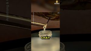 Liquide 'ultra rare' à 500 millions le litre : le secret des ancêtres !