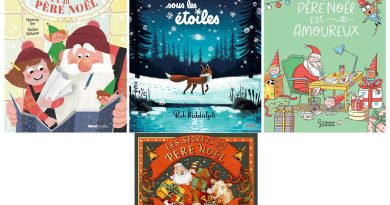 Conseil de lecture ; 4 beaux livres pour attendre le Père Noël