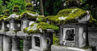 Japan,Tokyo,Mount Fuji,Sakura,Temple,Geisha,Sushi,Traditional culture,Cityscape,Shinto,Landscape