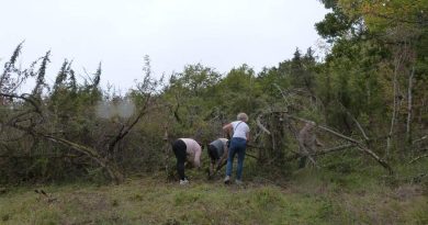 Lot : débroussailler, un geste citoyen désormais obligatoire pour se protéger des incendies