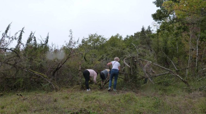 Lot : débroussailler, un geste citoyen désormais obligatoire pour se protéger des incendies