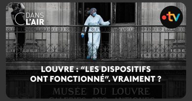 Louvre : Les dispositifs ont-ils vraiment fonctionné ?