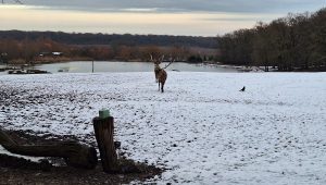 Lumière d’Hiver : une balade nocturne féerique à Sainte-Croix - ICI