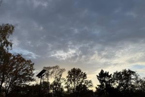 MÉTÉO. 20 degrés atteints dans la région Centre-Val de Loire, cela va-t-il durer ?