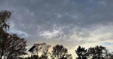 MÉTÉO. 20 degrés atteints dans la région Centre-Val de Loire, cela va-t-il durer ?