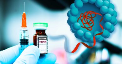 Des particules améliorant la livraison d'ARNm pourraient réduire les doses et les coûts des vaccins.