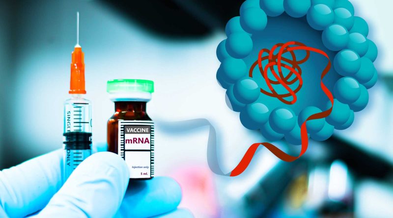 Des particules améliorant la livraison d'ARNm pourraient réduire les doses et les coûts des vaccins.