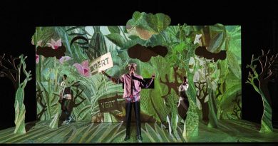 illustration agrandir l