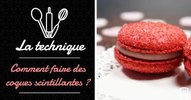 ✨ Macarons aux Coques Éclatantes ✨