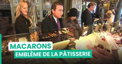 Macarons : découvrez les secrets de ce délice français