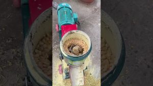 Machine à granulés pour bétail et ovins : efficacité en action