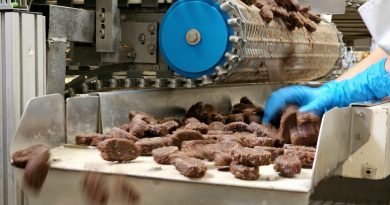 Magenbrot : le pain d'épice alémanique incontournable des foires d'automne