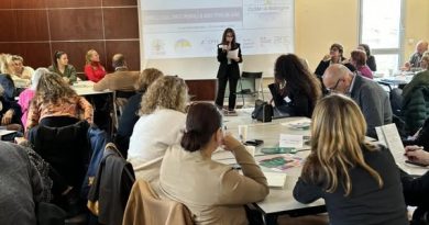 Mairie de Calvi : Informations et services de la Casa Cumuna di Calvi