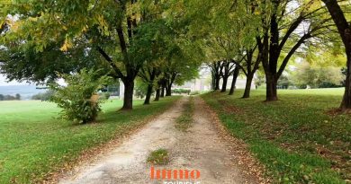 Maison d'hôtes et gîtes à vendre sur 3,5 ha près de Sancerre