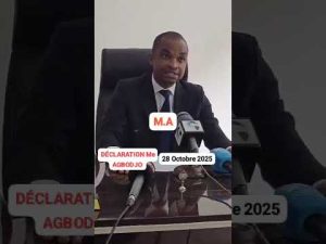 Maître Renaud AGBODJO se retire de la politique et s'adresse à WADAGNI