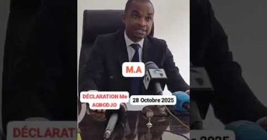 Maître Renaud AGBODJO se retire de la politique et s'adresse à WADAGNI