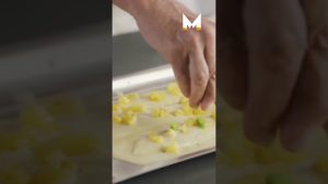 Maîtriser l'Art du Dressage de la Sole