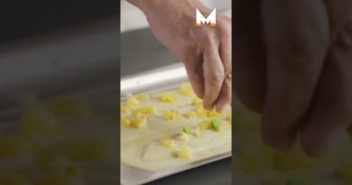 Maîtriser l'Art du Dressage de la Sole