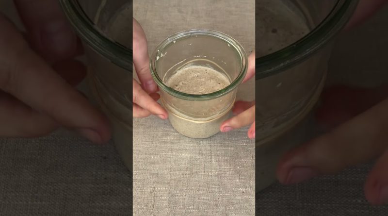 Maîtrisez le levain : suivez notre vidéo explicative !