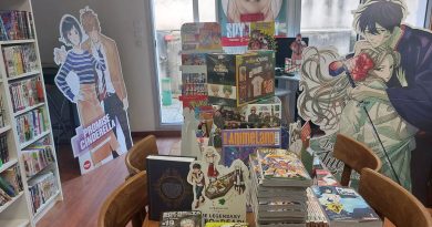 Mangas, goodies asiatiques, gaming et karaoké dans un nouveau commerce lavallois - ICI