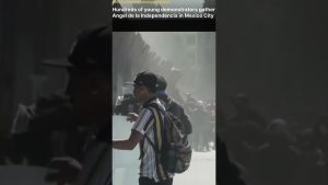 Manifestations massives au Angel de la Independencia contre la corruption