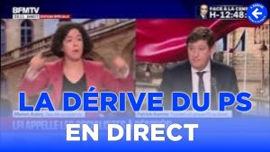 Manon Aubry (LFI) met à mal un sénateur PS