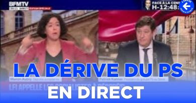 Manon Aubry (LFI) met à mal un sénateur PS