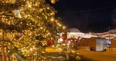 Marcati di Natali : les marchés de Noël de Zonza et de Santa Lucia 2025 - Office de Tourisme de Zonza – Sainte Lucie de Porto-Vecchio – Corse du Sud