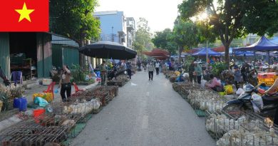 Marché Caché à la Frontière Vietnam-Chine : Culture et Street Food