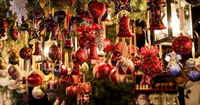 Marché de Noël à La Chapelle-sur-Erdre