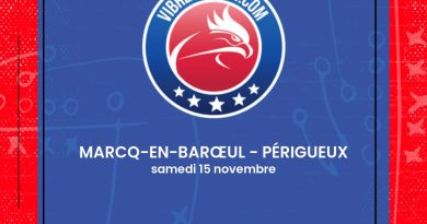 rugby pro d2 - logo vibrez rugby