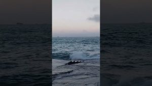 Marée matinale à Saint-Malo : 8 novembre 2025, coefficient 98