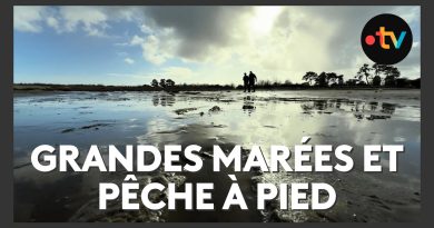 Marées spectaculaires et pêche à pied au Bassin d'Arcachon