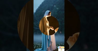 🕊 Marie, sous le ciel, prie pour nous tous.