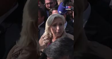 Marine Le Pen : 'Je censure tout, la plaisanterie est finie'