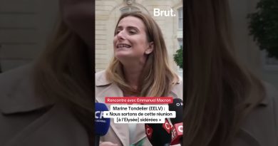 Marine Tondelier (EELV) : Réunion à l'Élysée, choc et consternation