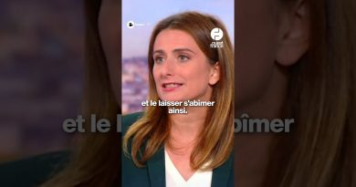 Marine Tondelier, candidate écologiste à la présidentielle 2027