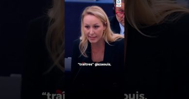 Marion Maréchal appelle Rima Hassan à quitter la scène !