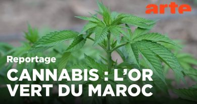 Maroc : Les nouveaux leaders du Rif en 2022 | ARTE Reportage