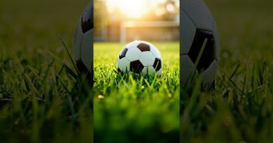 Marseille : Vaz, sa pépite, victime d'une grave blessure