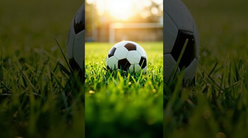 Marseille : Vaz, sa pépite, victime d'une grave blessure